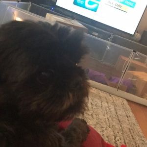 Meet your Posher, Shane